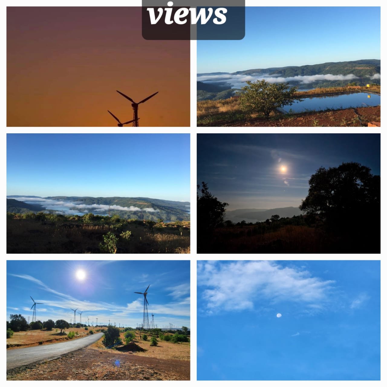 Nature View