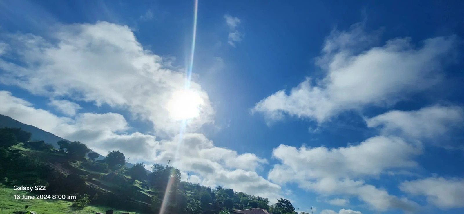 nature